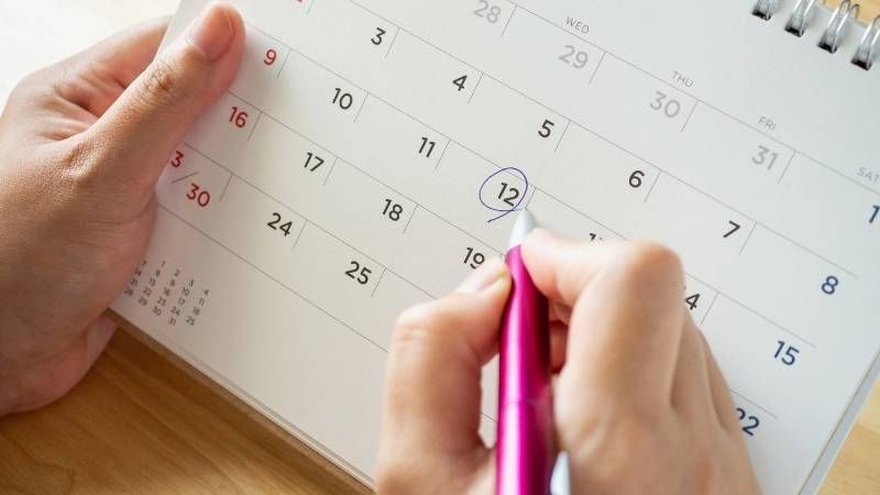 calendario de dias y hora hábil para el cómputo de plazos procesales